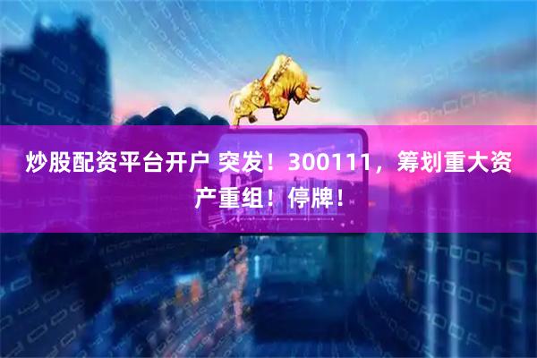 炒股配资平台开户 突发！300111，筹划重大资产重组！停牌！