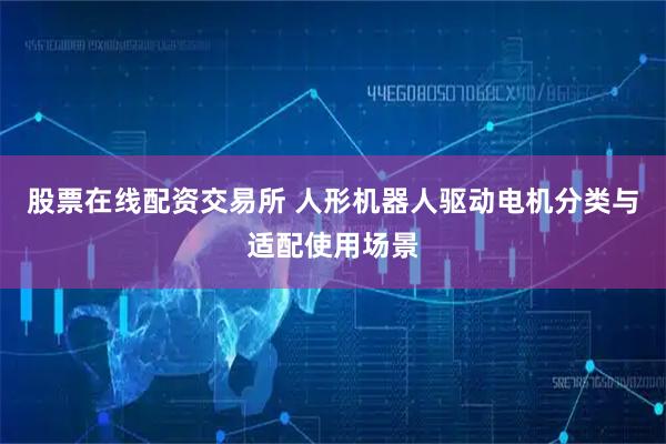 股票在线配资交易所 人形机器人驱动电机分类与适配使用场景